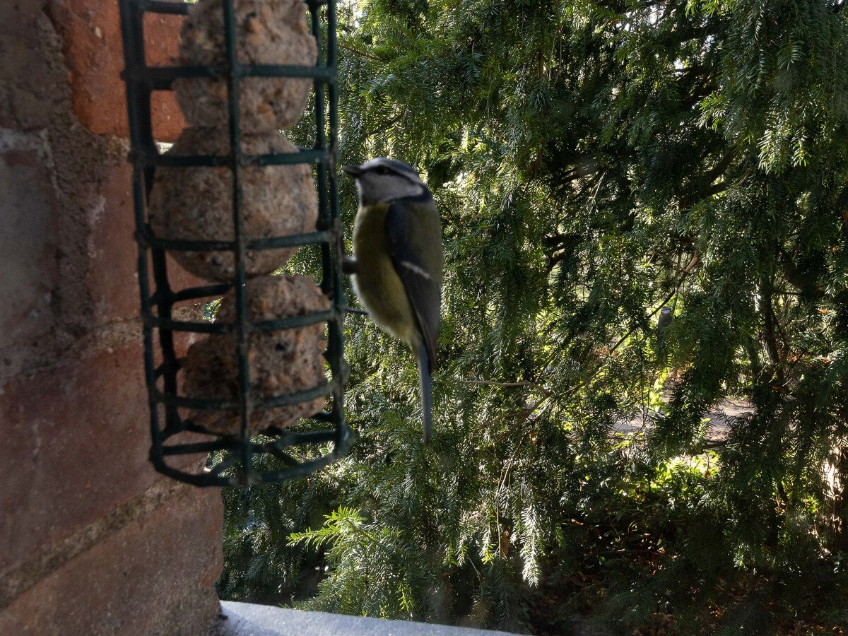 Charmante maison avec jardin clos près de la rivière Louet